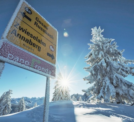 Skiurlaub in der Skiregion Dachstein-West